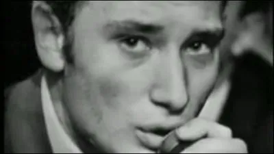 La chanson  Je l'aime , sortie en 1966, est l'adaptation d'un titre anglais de quel groupe ?