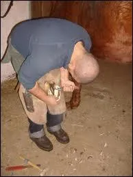 Un parage est ncessaire pour un cheval...