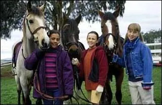 Qui sont ces chevaux ?