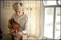 Quelles chansons Niall a-t-il crites ?