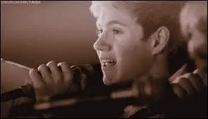 Quelle est la chanson que Niall a chante pour son audition ?