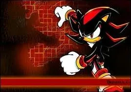 Pour Sonic, qui est-il ?