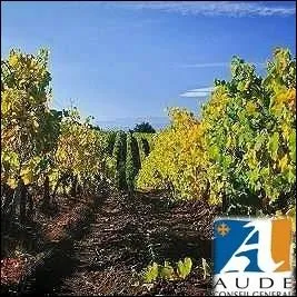 Quelle ville connue pour son vin ptillant, sera le dpart de la 14me tape se dirigeant vers Foix ?