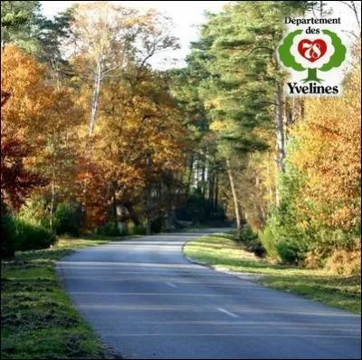 Quelle ville clbre pour son chteau et sa fort sera le dpart de la dernire tape menant les rescaps de l'preuve  l'arrive sur les Champs-Elyses ?