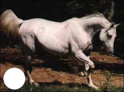 Quelle est cette robe ?