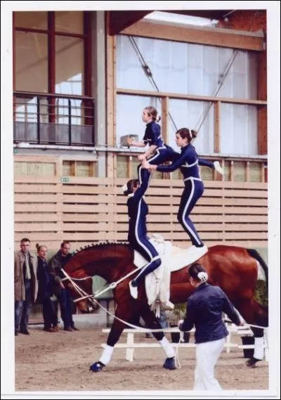 Quel est le nom de cette activit ?