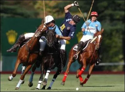 Quel est le nom de cette activit ?