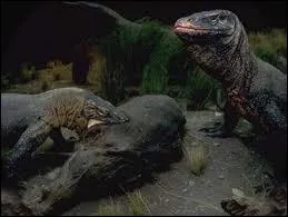 Quelle est son attaque principale ?