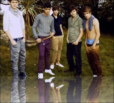 Qui a dit   A faute d'avoir la fille parfaite, j'ai Louis   ?