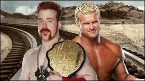 Quel est le vainqueur entre Sheamus contre Dolph Ziggler dans un match simple pour le World Heavywheight championship ?