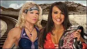 Quelle est la gagnante entre Layla contre Beth Phoenix dans un match simple pour le Divas championship ?