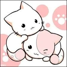 Comment la famille de Yohei transporte-t-elle Chi ?