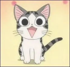 Quand Yohei (le petit garon) dit  pipi  le chat croit que l'on parle de ...