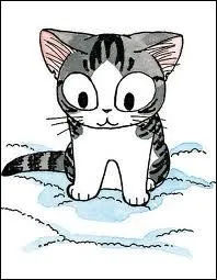 Pour Chi, qu'est-ce qu'une litire ?