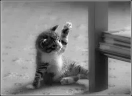 O le pre emmne-t-il Chi pour qu'elle le dteste ?