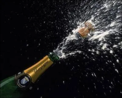 Ludwig van Beethoven aurait pu boire une coupe de champagne avec Jean-Jacques Rousseau.