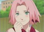 Quiz Sakura