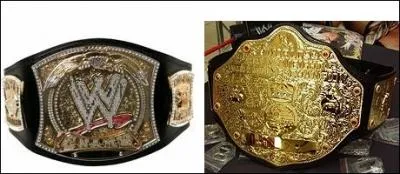 Qui sont les 2 champions mondiaux de la WWE ?
