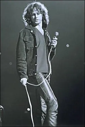 Quel chanteur tait surnomm  Lizard King  ?