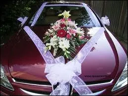 Le ruban sur le capot de cette voiture comporte dans son nom celui d'une ville du Limousin, situe dans le dpartement ...