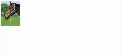 Quelle partie du licol correspond  cette image ?