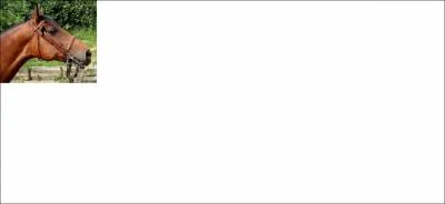 Quelle partie du filet correspond  cette image ?