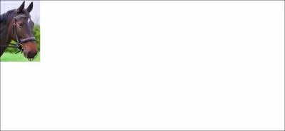 Quelle partie du filet correspond  cette image ?