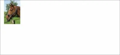 Quelle partie du filet correspond  cette image ?