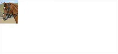 Quelle partie du filet correspond  cette image ?