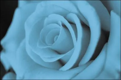 Comment dit-on Cyan en japonais ?