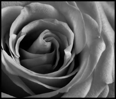 Comment dit-on Gris en japonais ?