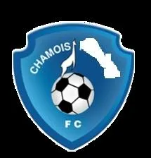 A quel club appartient ce logo ?