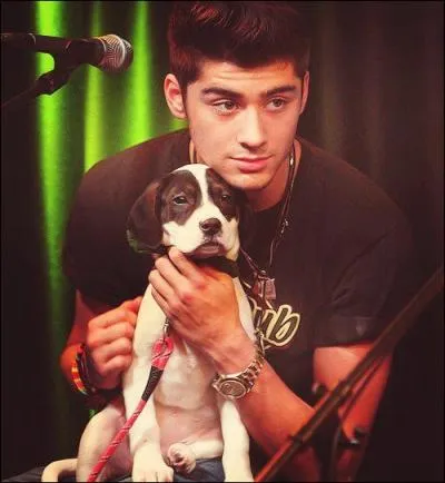 Quelle est la phrase favorite de Zayn ?