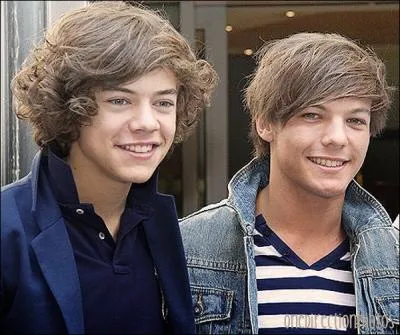 Comment appelle-t-on la bromance entre Harry et Louis ?