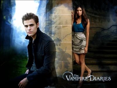 Dans quel endroit, Elena et Stefan se sont-ils rencontrs ?