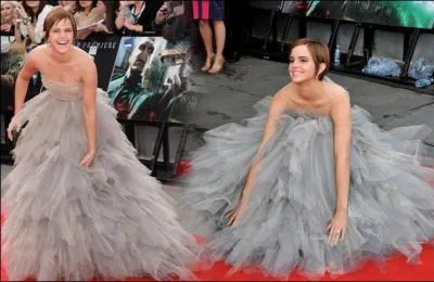 En voyant cette photo, pensez-vous qu'Emma Watson ait une soeur jumelle ?