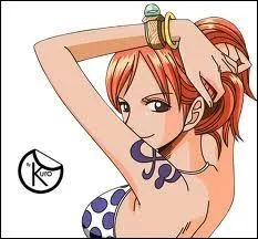 Quel est le nom de cette navigatrice, qui a dj fait partie du clan d'Arlong pour racheter son village de  Cocoyashi  ?