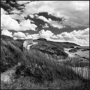 Des landes, des (... ), montent des voix lointaines