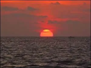 Ferme les branches d'or de son rouge ventail. 