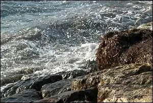 A la vaste (... ) s'unit.