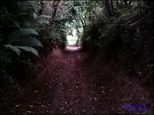 Alors, du (... ) d'un abme, des tranes,