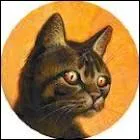 Qui va accompagner Griffe de Ronce, l'lu du clan du tonnerre ?