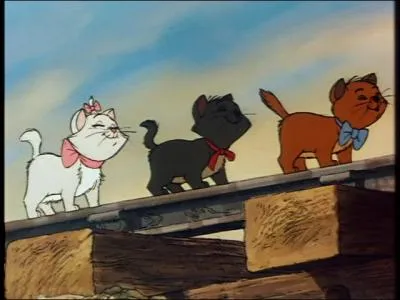 Comment s'appellent-t-ils ?