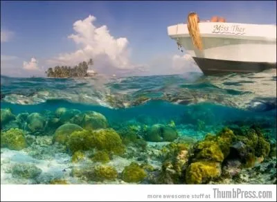 Je suis le seul pays anglophone d'Amérique Centrale, vous apprécierez mes eaux turquoises et ma faune, l'une des plus protégées au monde !