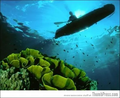 Je suis un archipel, je fais partie du Commonwealth, ma plus grande ville est Honiara, en 2007, je fus frappé par deux séismes, suivis d'un tsunami !