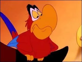 A qui appartient Iago ?