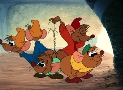 Quelle est la couleur du maillot de Jac (Cendrillon) ?