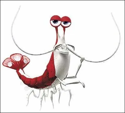 Comment s'appelle cette crevette dans le Monde de Nemo ?