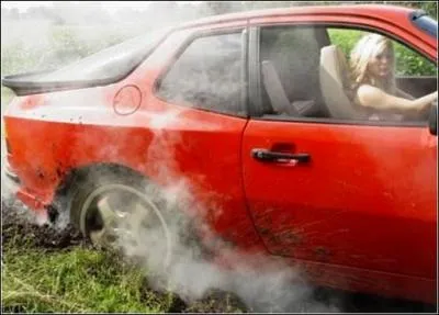 Troisime race bovine allaitante franaise, bien implante dans le Sud-Ouest et le Pays de la Loire !