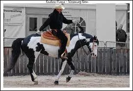 Quelle est cette robe ?